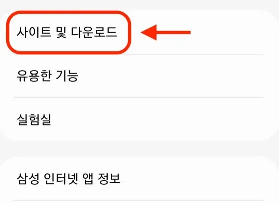 삼성 인터넷 설정에서 사이트 및 다운로드를 선택하는 화면