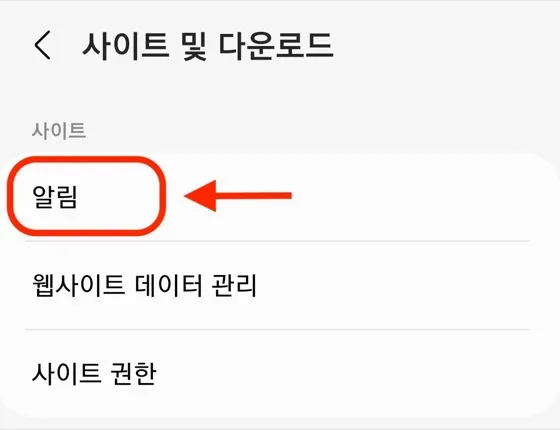 삼성 인터넷 사이트 및 다운로드에서 알림을 선택하는 화면